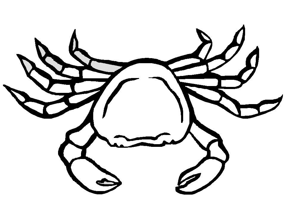 957x718 Crab (Animals) Printable Coloring Pages