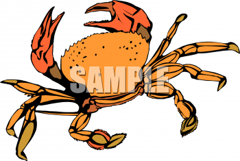 350x235 Royalty Free Crab Clipart
