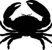 170x161 Crab Silhouette Clip Art