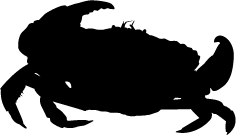 236x135 Crab Download, Crab Silhouette Clipart Panda