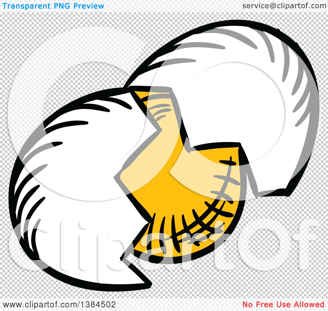 1080x1024 Clipart Of A Sketched Cracked Egg And Shell