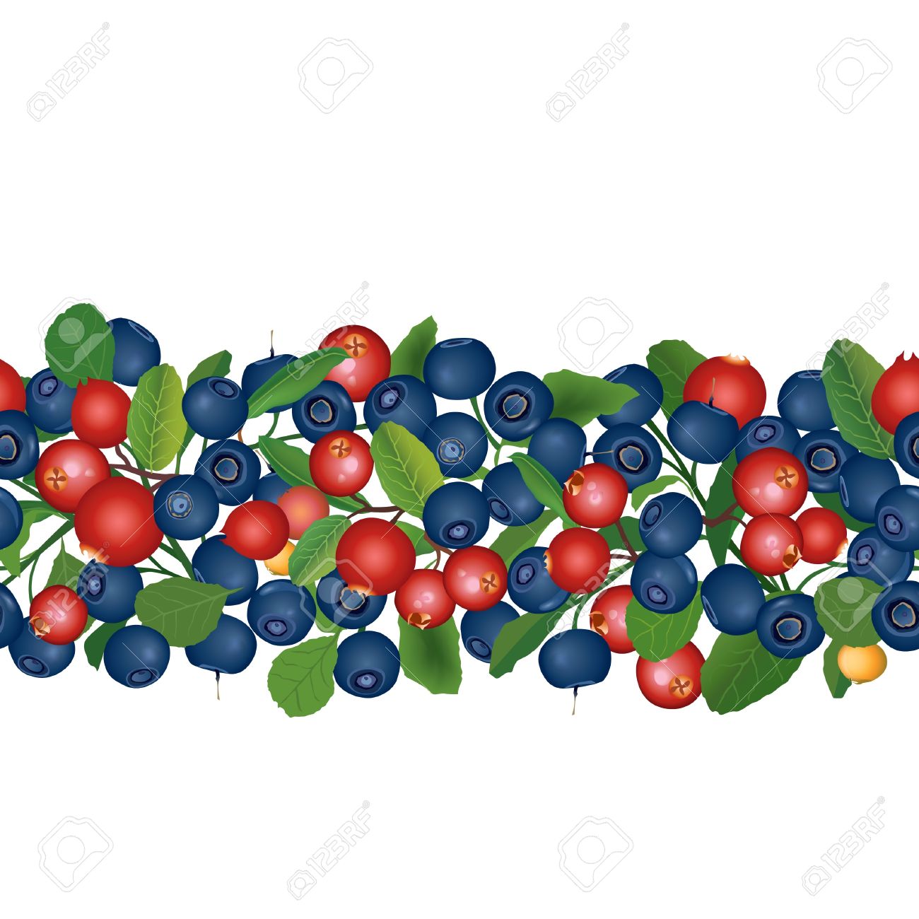 1300x1300 Blueberry Clipart Cranberry
