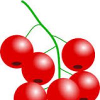 200x200 Cranberry Clipart