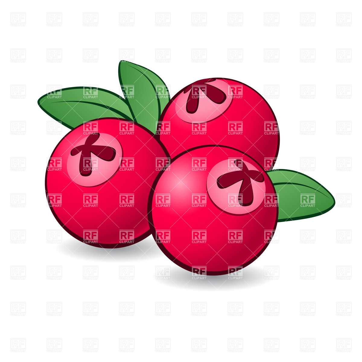 1200x1200 Cranberry Clipart