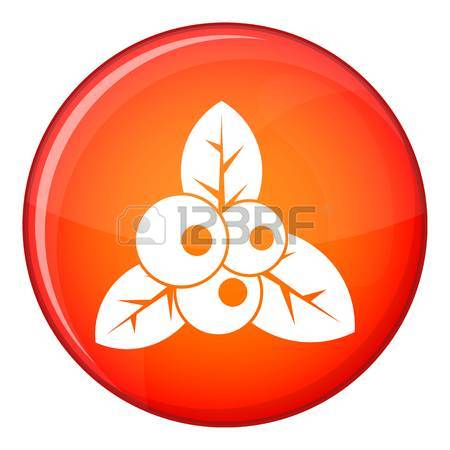 450x450 343 Lingonberry Stock Vector Illustration And Royalty Free