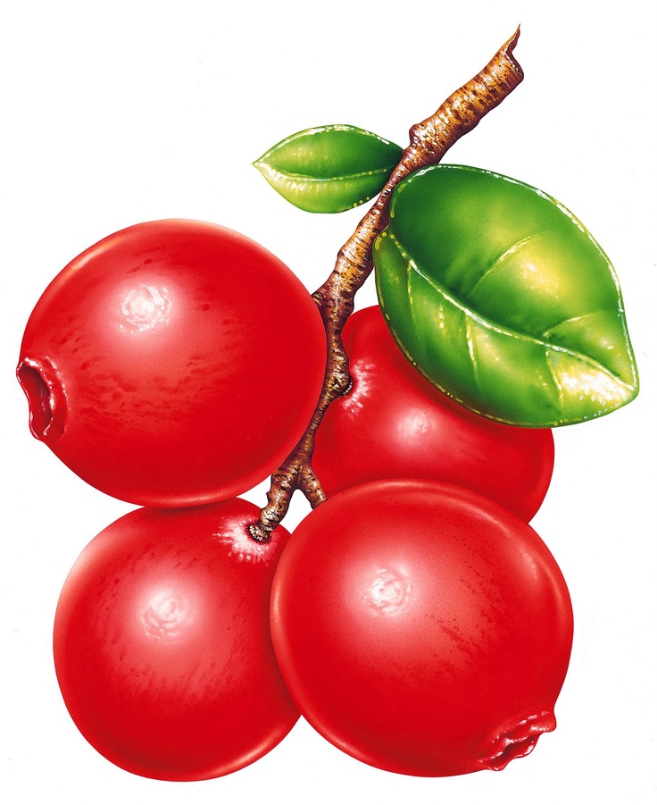 736x901 80 Best Cooking Clip Art Images Picasa, Childhood