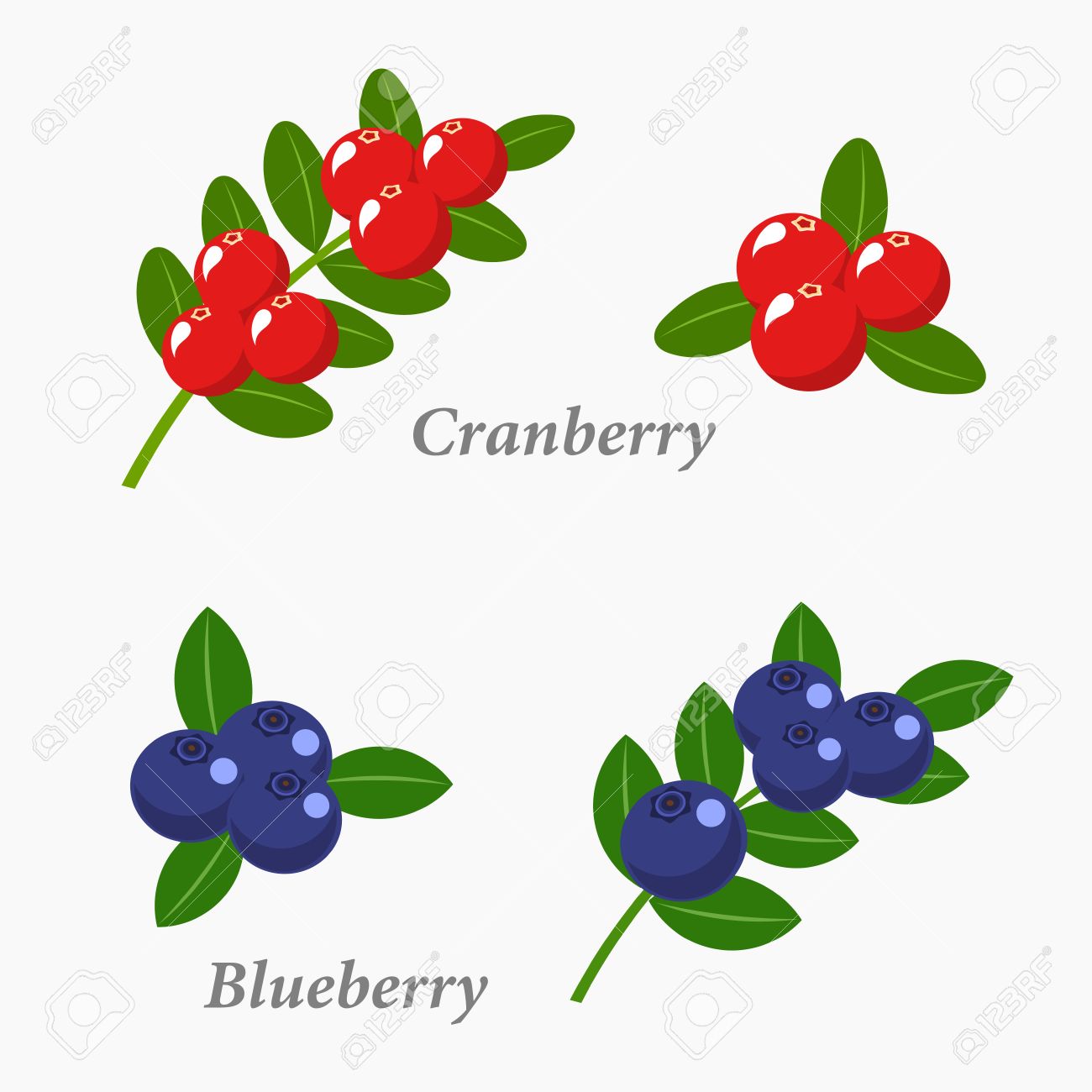 1300x1300 Berry Clipart Cranberry