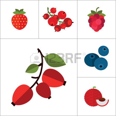 450x450 Blueberry Clipart Cranberry