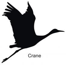Crane Clipart Free