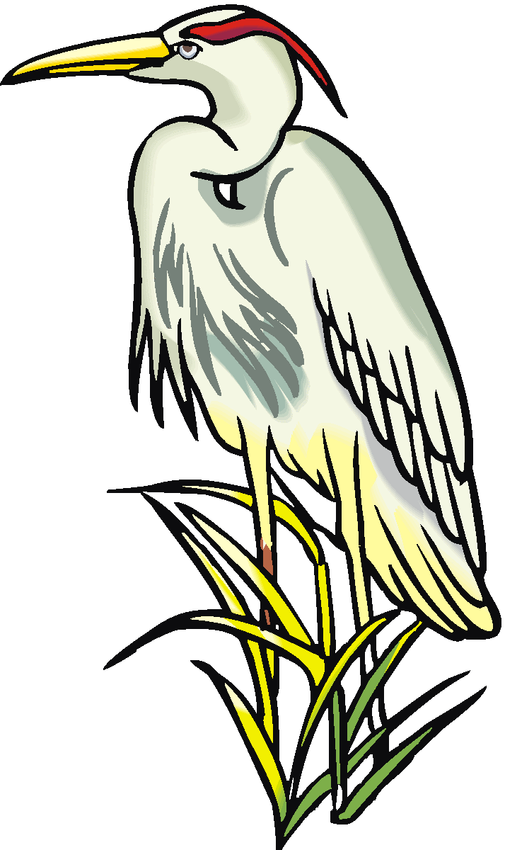 714x1200 Heron Clipart Clipart Panda