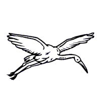 200x200 Whooping Crane Flying Clip Art Cliparts