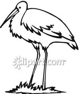 253x300 Black And White Crane