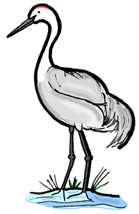 200x309 Crane Clipart Crane Bird