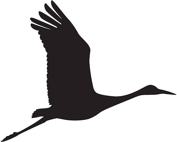 612x490 Crane Clipart Stork