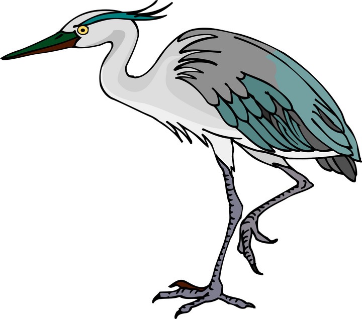 720x635 Bird Clipart Blue Crane