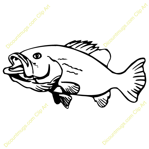 500x500 Fish Clipart Bass