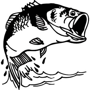 300x300 Sketch Of Bass Fish Coloring Pages Best Place To Color Fish