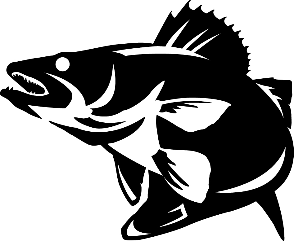 947x778 Trout Clipart Walleye