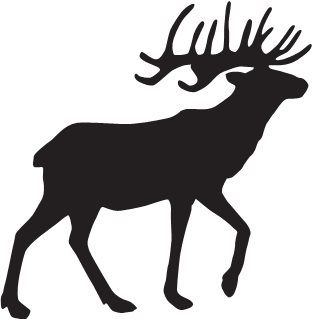 312x320 517 Best Fishing, Hunting, Cabin Decor,silhouettes, Vectors