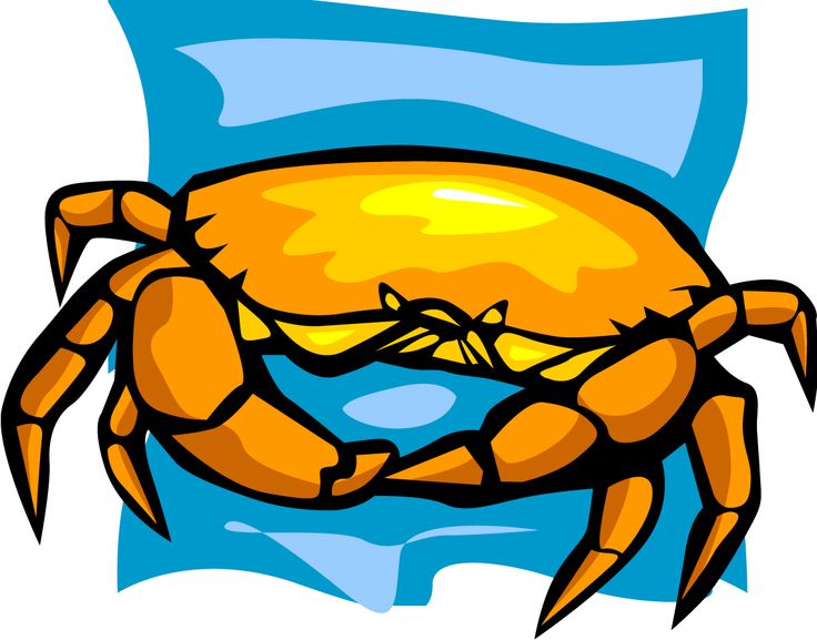 736x577 Boiled Crab Clipart, Explore Pictures