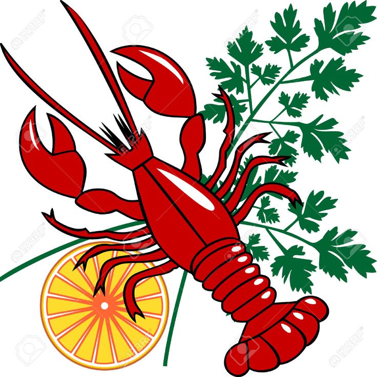 736x736 Crayfish Clipart Crawfish Boil