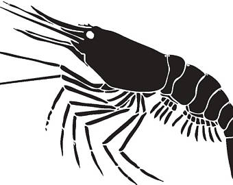 340x270 Crawfish Clipart Shellfish