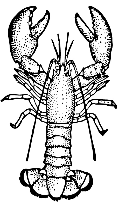 Crayfish Clipart