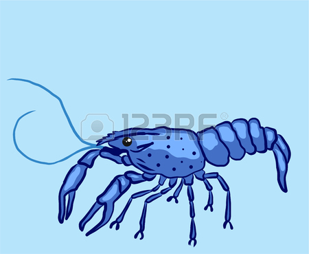450x369 245 River Crayfish Cliparts, Stock Vector And Royalty Free River