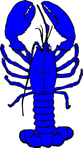 336x599 Blue Lobster Clip Art
