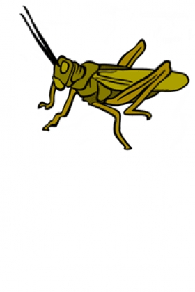 280x420 Locust Clipart Cricket