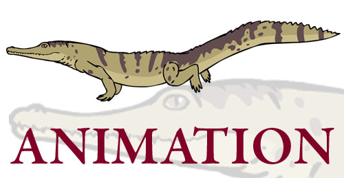 500x259 Galloping Crocodile By Akelataka