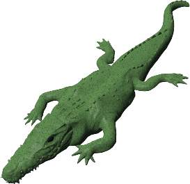 273x265 Tutorial Animating Reptiles And Snakes