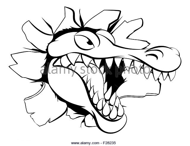 640x493 Crocodile Attack Black And White Stock Photos Amp Images