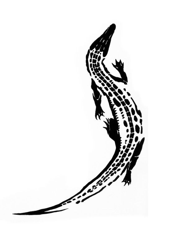 580x740 61 Best Crocodile Tattoo Outline Images