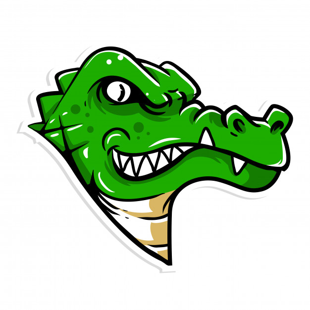 626x626 Crocodile Vectors, Photos And Psd Files Free Download