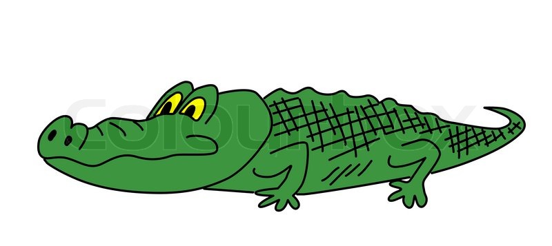 800x357 Drawing Green Crocodile On White Background Stock Photo Colourbox