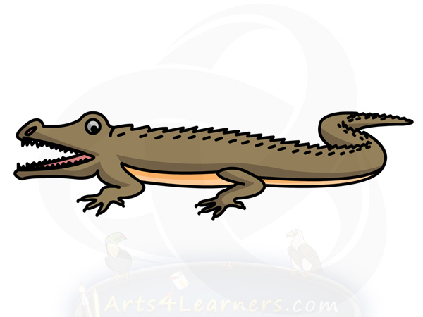 600x450 How To Draw A Crocodile Arts4learners