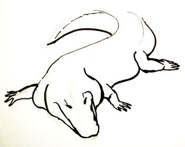 377x300 Learn How To Draw A Crocodile