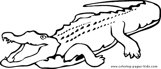 513x221 Crocodile Outline Clipart