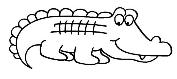 600x267 Top 76 Crocodile Coloring Pages
