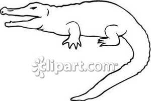 300x201 Of A Crocodile