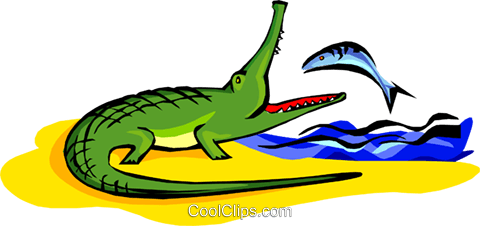 480x226 Crocodile Eating A Fish Royalty Free Vector Clip Art Illustration