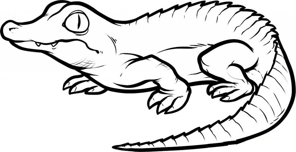 1024x528 Free Printable Crocodile Coloring Pages For Kids