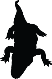 167x254 Crocodile Silhouette Silhouette Of Crocodile