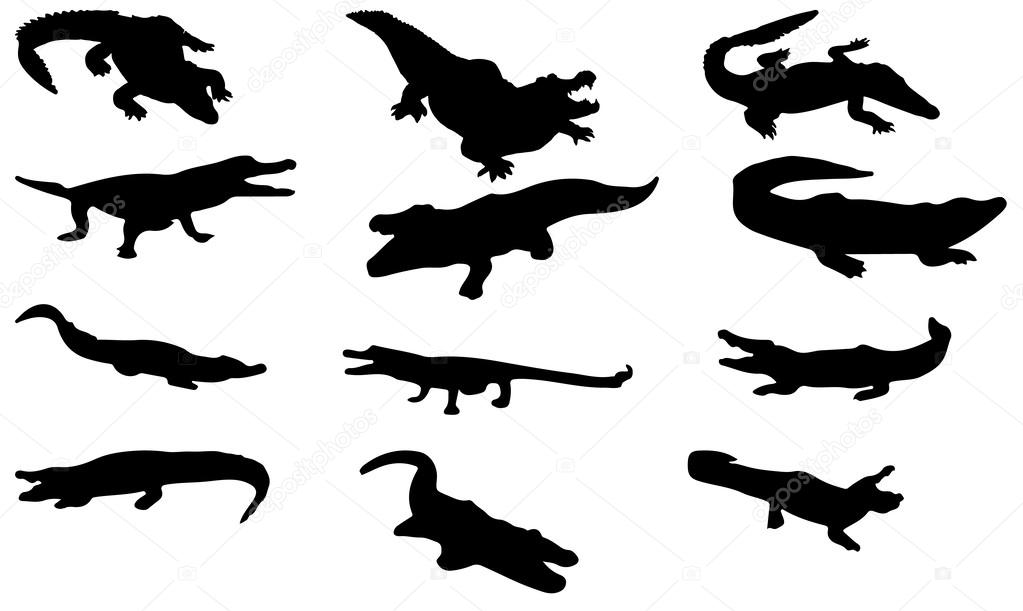 1023x611 Silhouette Crocodile Vector Stock Vector Newelle