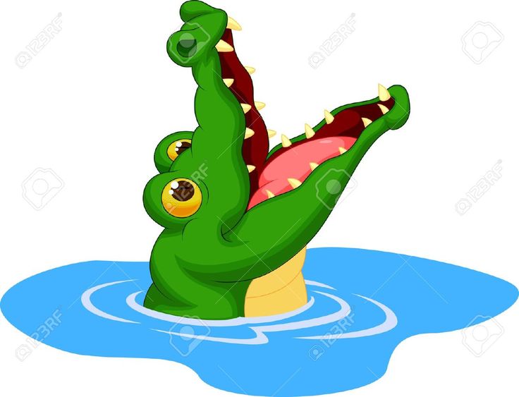 736x563 300 Best Crocodylia Images Alligators, Applique