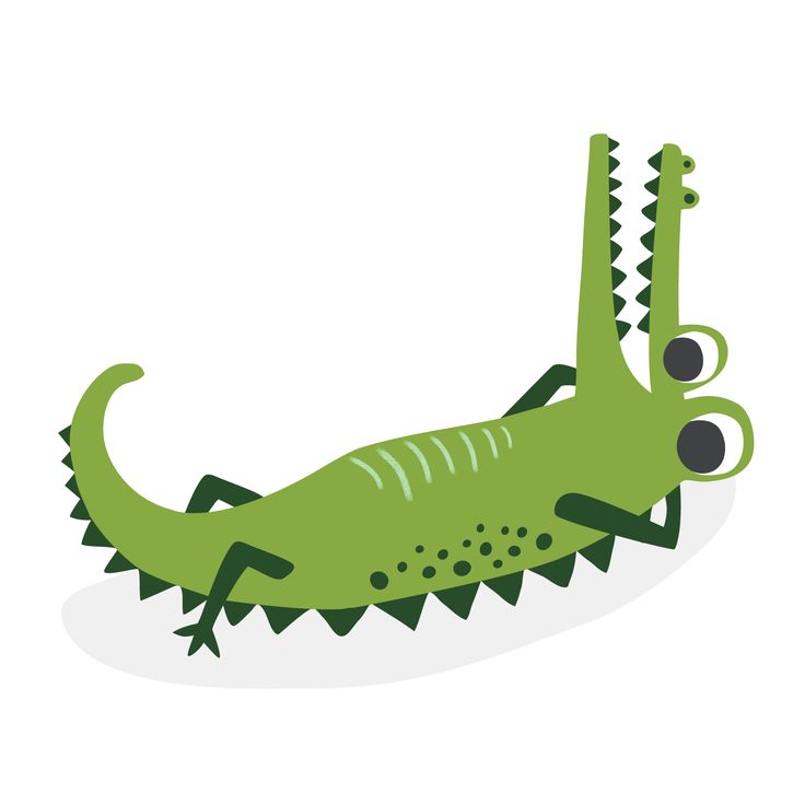 736x736 601 Best Crocodile Images Draw, Dinners And Dragons