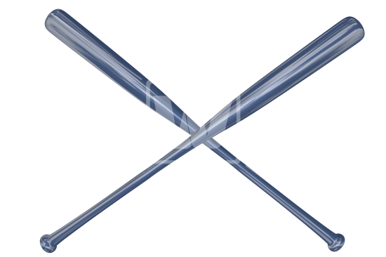 550x366 Baseball Bats