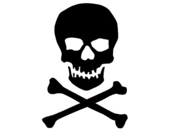 340x270 Skull And Crossbones Etsy