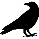 128x128 Crow Vectors, Photos And Psd Files Free Download